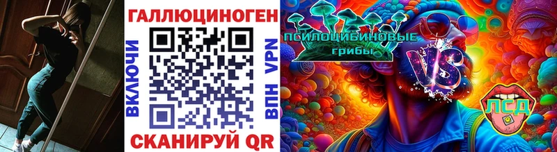 Купить где Кропоткин Псилоцибиновые грибы Psilocybine cubensis